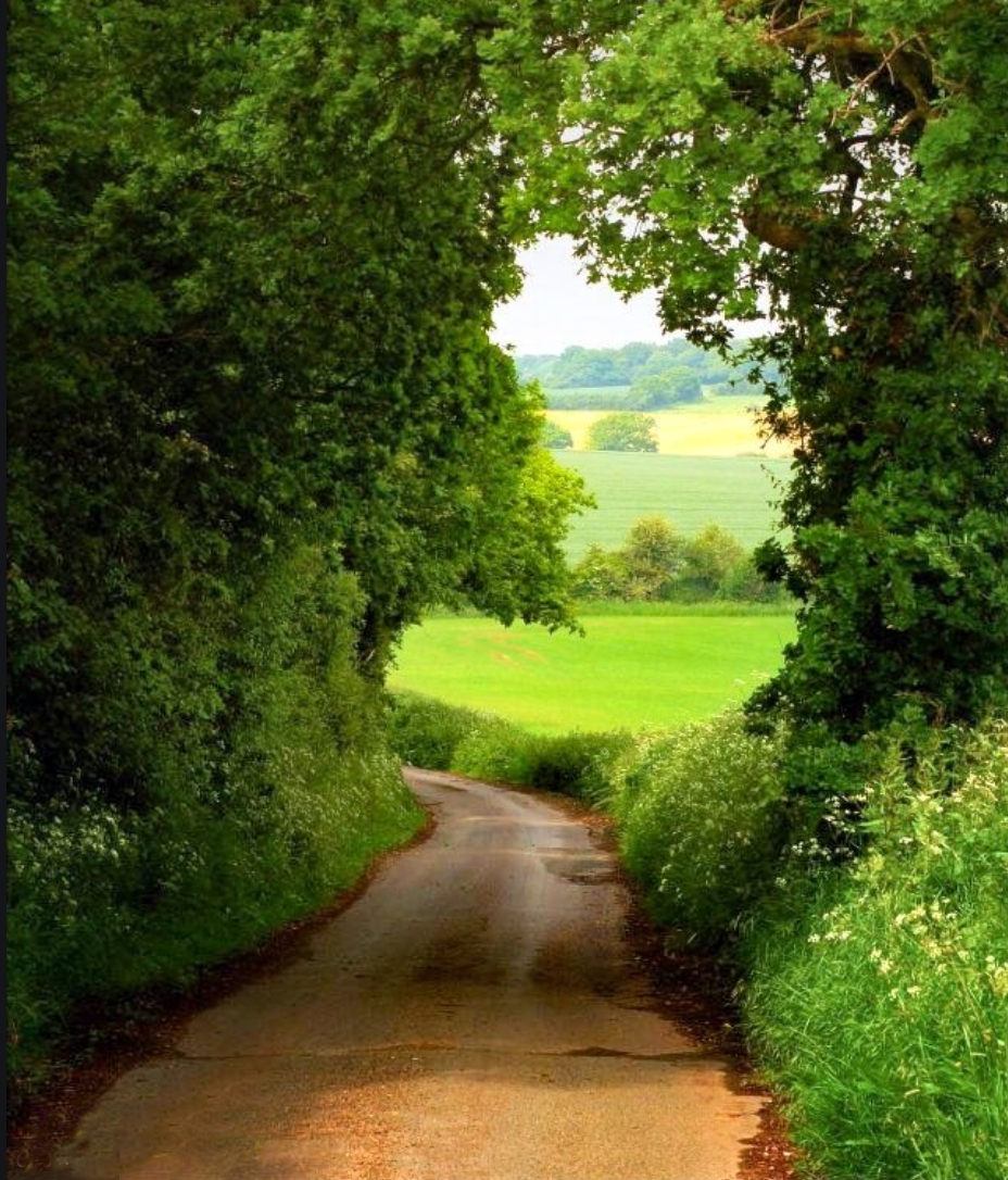 English Country Lane