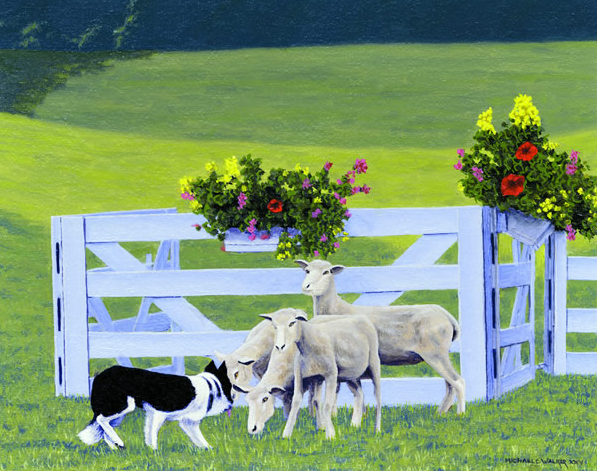 Sheep Dog Trials Pen